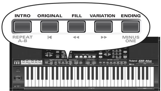 ROLAND EXR-46OR - Starting/using the Arranger - 5