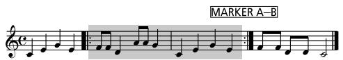 ROLAND EXR-46OR - Loop playback (Repeat) - 2