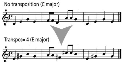ROLAND EXR-46OR - Transpose - 4