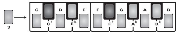 ROLAND EXR-46OR - Sauvegarder et charger les réglages d'accord (SCALE MEMORY) - 4