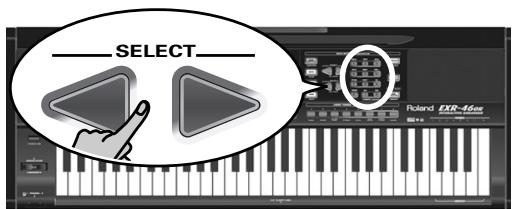 ROLAND EXR-46OR - Punch I/O - 3