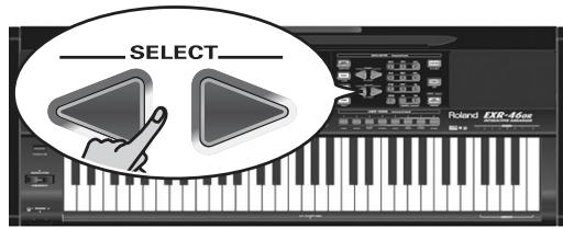 ROLAND EXR-46OR - Renovating - 2