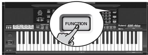ROLAND EXR-46OR - Removing - 1