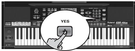 ROLAND EXR-46OR - dLd - 2