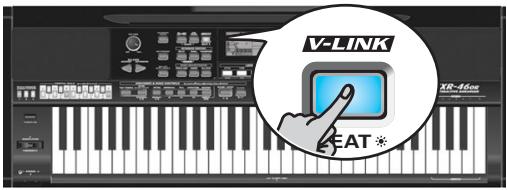ROLAND EXR-46OR - (ALLJ) - 2