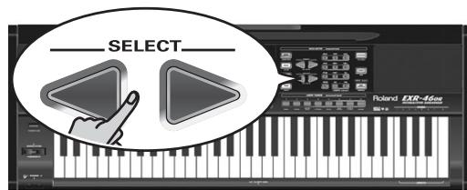 ROLAND EXR-46OR - dLd - 1