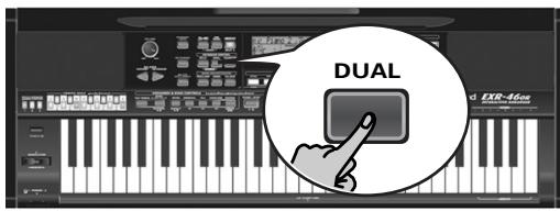 ROLAND EXR-46OR - Using the Main and Dual parts - 1
