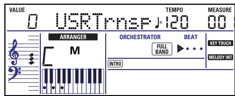 ROLAND EXR-46OR - Transpose - 2