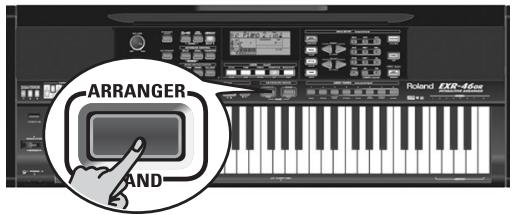 ROLAND EXR-46OR - Sustain - 1