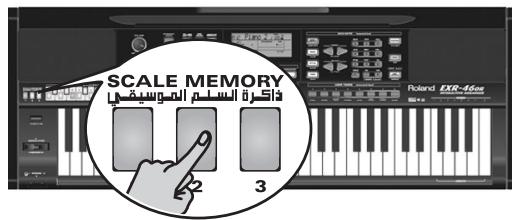 ROLAND EXR-46OR - SCALE MEMORY - 1