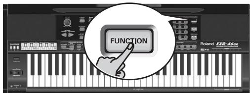 ROLAND EXR-46OR - a - 1