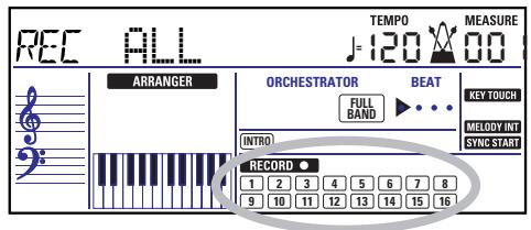 ROLAND EXR-46OR - More about ALL mode - 1