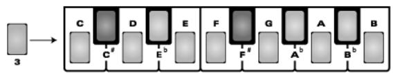 ROLAND EXR-46OR - (SFX) - 5