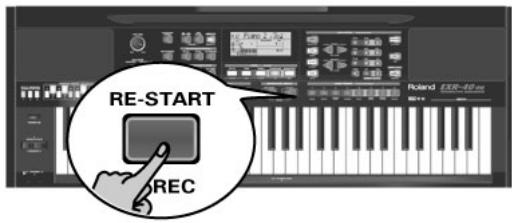 ROLAND EXR-46OR - Sustain - 1