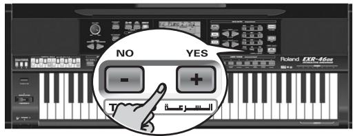 ROLAND EXR-46OR - SCALE MEMORY - 3