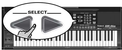 ROLAND EXR-46OR - Removing songs from the Flash memory - 3