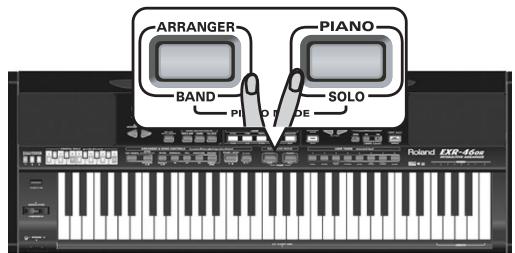 ROLAND EXR-46OR - g - 1