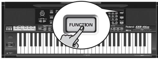 ROLAND EXR-46OR - Renovating - 1