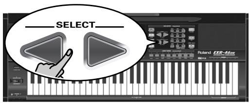 ROLAND EXR-46OR - Sélection de styles musicaux - 3