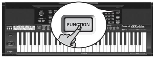 ROLAND EXR-46OR - Bass Inv - 1
