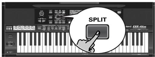 ROLAND EXR-46OR - Using the Main and Split parts - 1