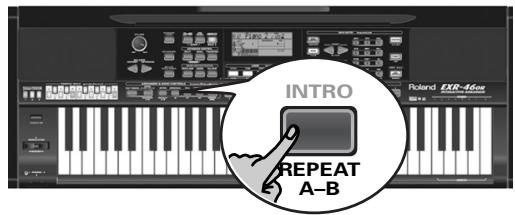 ROLAND EXR-46OR - Loop playback (Repeat) - 3
