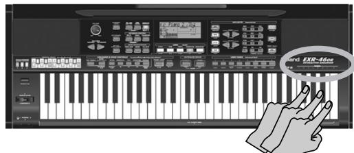 ROLAND EXR-46OR - Using the Drum Pad function - 3