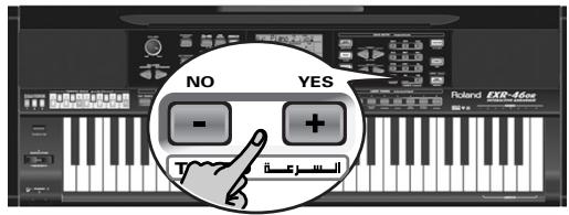 ROLAND EXR-46OR - Réglages d'octave - 1