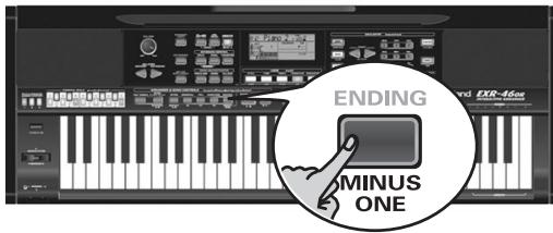 ROLAND EXR-46OR - Sustain - 7