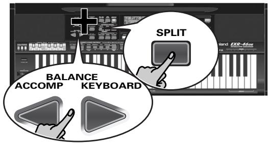 ROLAND EXR-46OR - Utiliser les parties main et split - 3