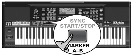 ROLAND EXR-46OR - Reproduction en boucle (repeat) - 1