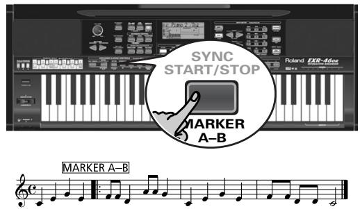 ROLAND EXR-46OR - Loop playback (Repeat) - 1