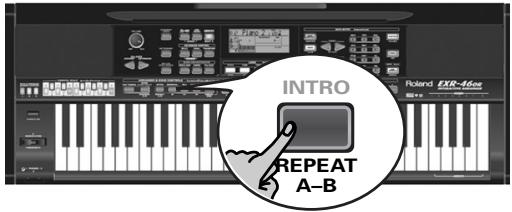 ROLAND EXR-46OR - Reproduction en boucle (repeat) - 4