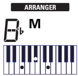 ROLAND EXR-46OR - Activation/utilisation de l'arrangeur - 6