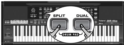 ROLAND EXR-46OR - Using the Drum Pad function - 1