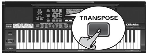ROLAND EXR-46OR - Transpose (p) - 1