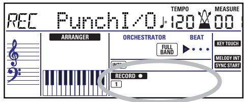 ROLAND EXR-46OR - Punch I/O - 2