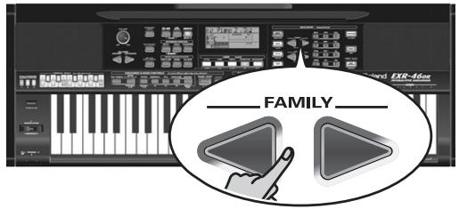 ROLAND EXR-46OR - aLgEg - 1