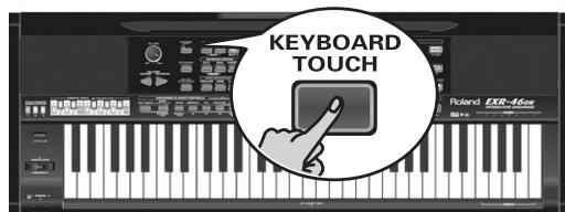 ROLAND EXR-46OR - 15 15 15 - 1