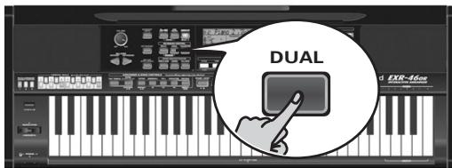 ROLAND EXR-46OR - BAND 4A 4A 4A 4A 4A 4A 4A 4A 4A 4A 4A 4A 4A 4A 4A 4A 4A 4A 4A 4A 4A 4A 4A 4A 4A 4A 4A 4A 4A 4A 4A 4A 4A 4A - 6