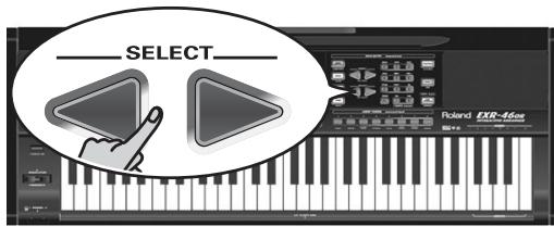 ROLAND EXR-46OR - Renovating - 1