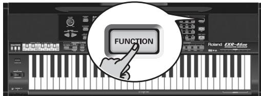 ROLAND EXR-46OR - y - 1