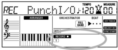 ROLAND EXR-46OR - Sustain - 1
