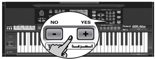 ROLAND EXR-46OR - Transpose - 3