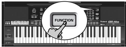 ROLAND EXR-46OR - Removing songs from the Flash memory - 1