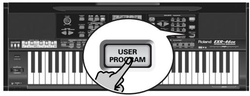 ROLAND EXR-46OR - Writing your settings to a User Program - 1
