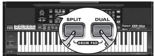 ROLAND EXR-46OR - Jgall gol gol - 1