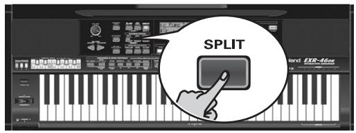 ROLAND EXR-46OR - BAND 4A 4A 4A 4A 4A 4A 4A 4A 4A 4A 4A 4A 4A 4A 4A 4A 4A 4A 4A 4A 4A 4A 4A 4A 4A 4A 4A 4A 4A 4A 4A 4A 4A 4A - 7