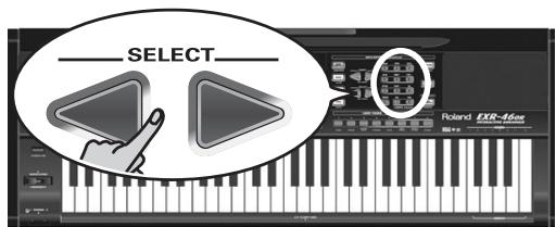 ROLAND EXR-46OR - Sustain - 2
