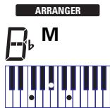ROLAND EXR-46OR - Starting/using the Arranger - 6